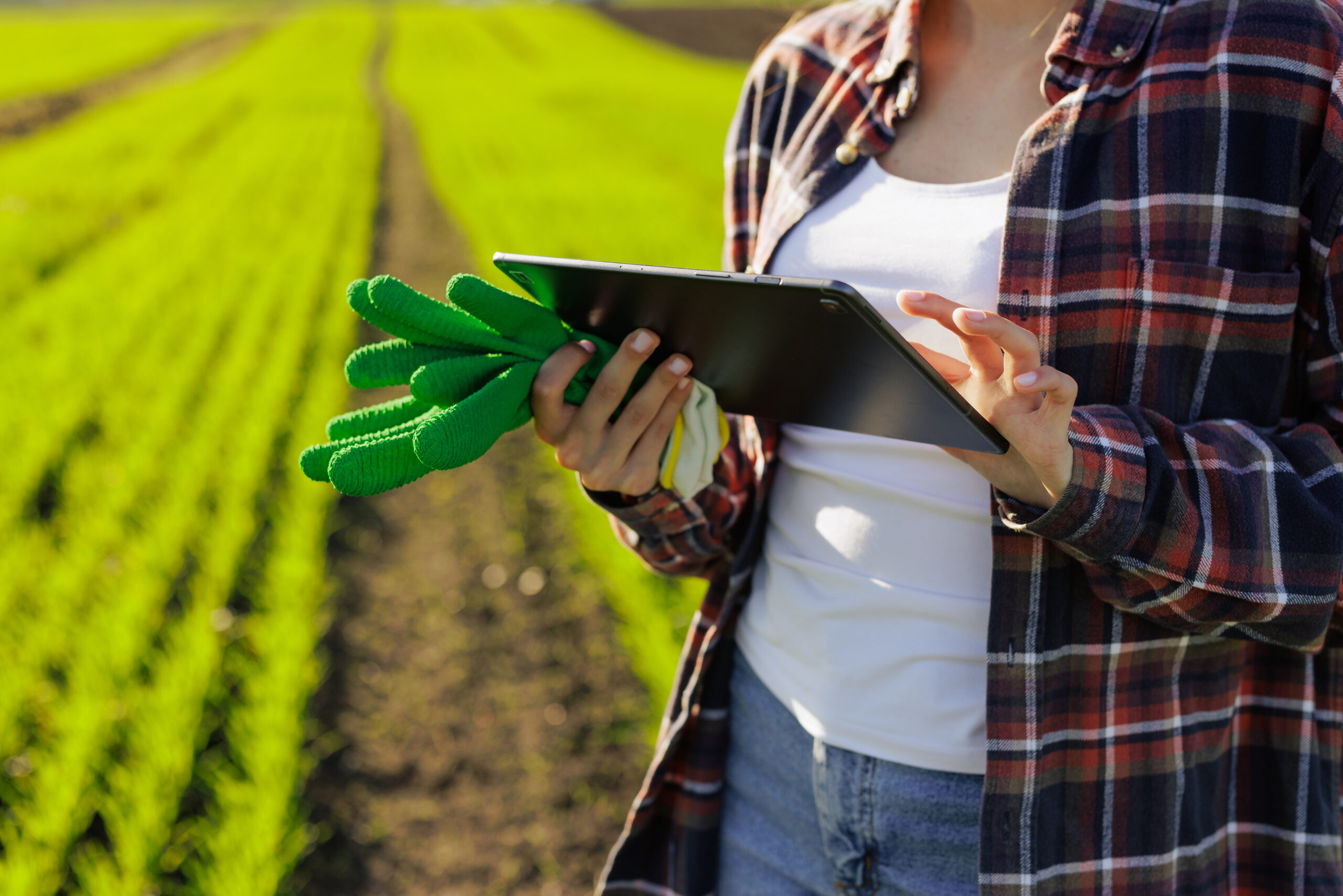 Top 5 Beneficios de Implementar un CMMS en una Planta Agroindustrial